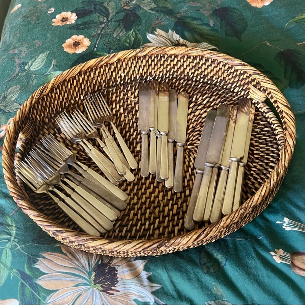 Rogers Brothers 1847 Silver Plate Cutlery Meridian Lot 28